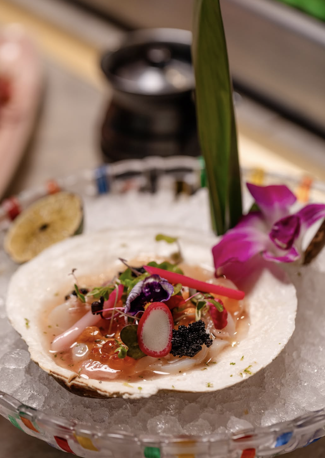 Seafood crudo in a scallop shell over ice with caviar, ikura, radish and an orchid